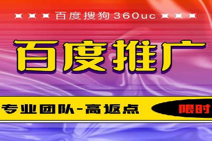 百度竞价代理技巧：经典成功案例解析